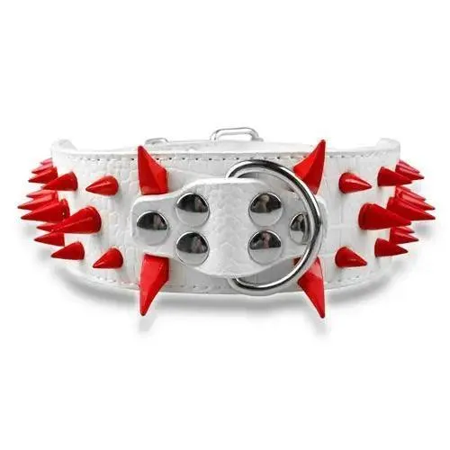 Spiked Leather Dog Collar: Stylish Accessory for Trendsetting Pets