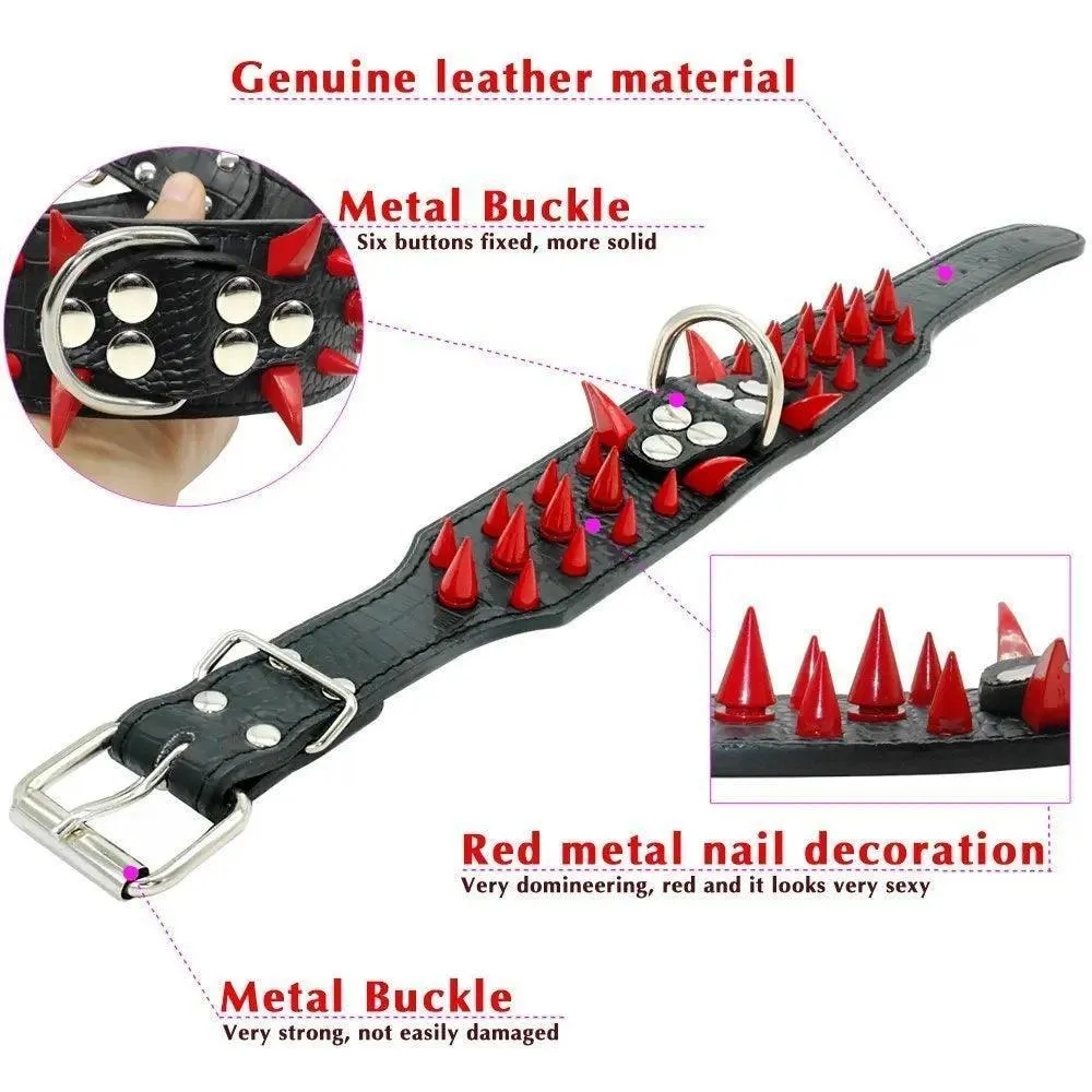 Spiked Leather Dog Collar: Stylish Accessory for Trendsetting Pets